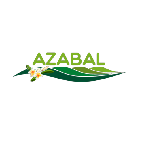 Apartamentos Azabal